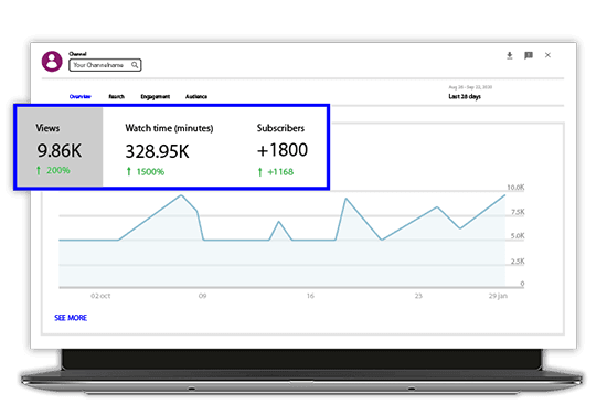 Digital Giant|Youtube Marketing